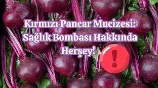 Kırmızı Pancar Mucizesi: Hakkında Herşey!