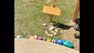 Bulls Gap park's 