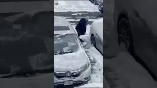 Snow Removal