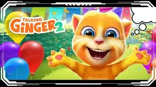 Talking Ginger 2