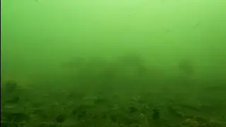 Full HD Underwater Tour of Fishing Pier 4 in the Long Beach Marina