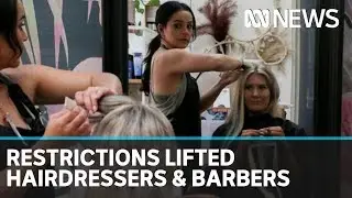 Hairdressers urge PM to stand them down amid coronavirus pandemic | ABC News