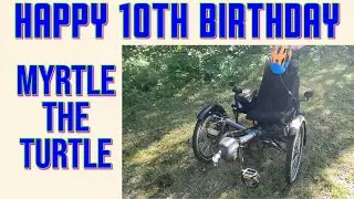 Happy 10th Birthday Myrtle the Turtle