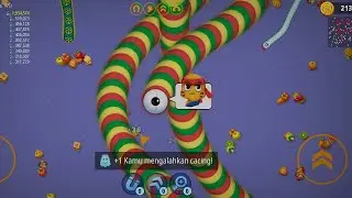 Worms zone.io Live❗I Should be able to reach 2,000,000 Scores