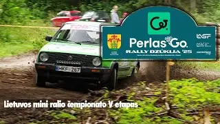 Perlas Go Rally Dzūkija 2025 | ASMR of gravel rally