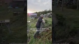 Терский берег потрясающий места севера России