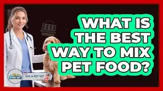 What Is The Best Way To Mix Pet Food?