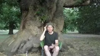 Nature insights + Mind & Heart based hunger