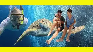 Sailing and Freediving North Sulawesi (Turtles galore) (Ep 278)