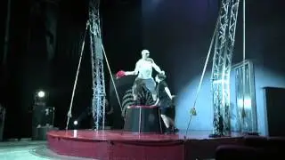 cirkus cirkor