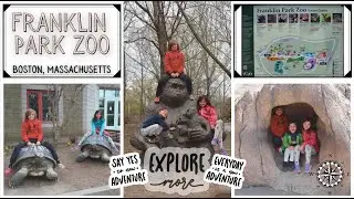 Comedic Animal Encounters || Franklin Park Zoo || Travel || Family Adventure || Boston, MA #travel