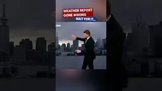 Dog Disturbance News #funny #pets #funnydog #dog #dogs #funnyvideos #fyp