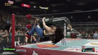 WWE 2K25 (PS4) APRON CANADIAN DESTROYER