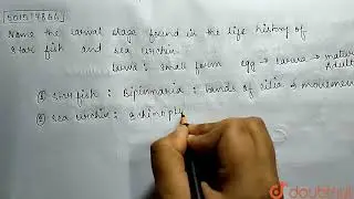 Name the larval stage found in the life history of star fish and sea urchin. | CLASS 11 | ANIMAL...