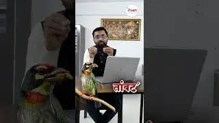 तांबट ठरला अमरावतीचा शहरपक्षी | Current Affairs | Utkarsh Institute | Abuj Patil Sir