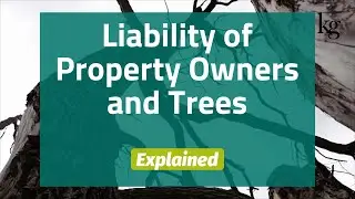 Explained - Liability of Property Owners and Trees