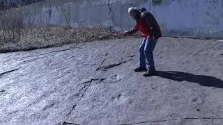 Dinosaur Footprints