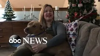 &lsquo;Holiday Sleepovers&rsquo; helping dogs get adopted from this Ohio shelter