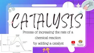 What is Catalysis| Catalyst| Examples of Catalyst Class 11