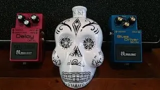 Boss Waza Craft DM-2w Delay & BD-2w Blues Driver