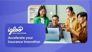 Igloo Tech Solutions - Transform Your Insurance Operations & Business