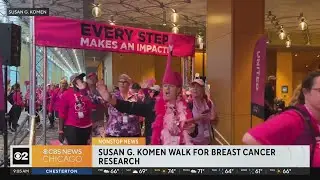 Susan G. Komen walk for breast cancer research