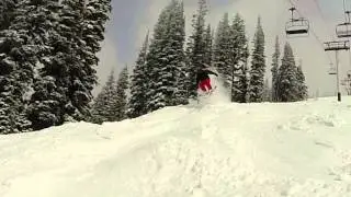 Arsham Shredz 2014