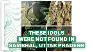 These idols were not found after a survey of Sambhal mosque in Uttar Pradesh