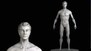 Human Male Modeling Example