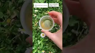Making natural paint with brown sugar in the garden #hanselah #naturalpaint #cottagecore #ecoart