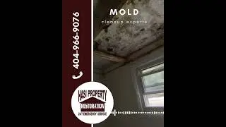 Mold Prevention in Stockbridge, Georgia