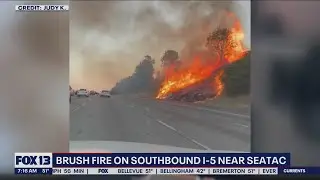 Multiple brush fires ignite in and around the Seattle area | FOX 13 Seattle