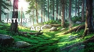 ☕🪵 Coffee in the Forest &ndash; Morning Guitar Strumming