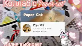 🌸Коллобарация с Paper Cat❤ 1 новинка 🌸распоковка✌🌸