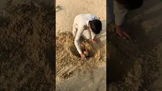 Extracting food and cold drinks 🍸 in desert under sand 🌵 #survival #lifehacks #experiment #food