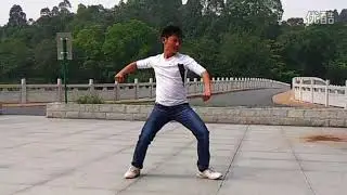 Tien Gang demonstrating Xiao Hong Chui