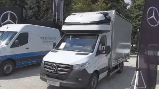 Mercedes-Benz Sprinter 314 CDI Standard 4x2 Ciężar&oacute;wka Van (2021) Nadwozie i wnętrze