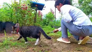 Selesai cabut rumput makan buah buahan musim buah musim hujan juga awal tahun ni