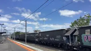 SSR grain at middle Footscray