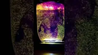 watersolution