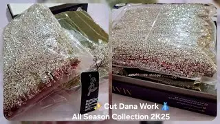 Cut Dana Work on Net Fabric ✨ All Season Collection 2K25 | RD Luxury Brand Official