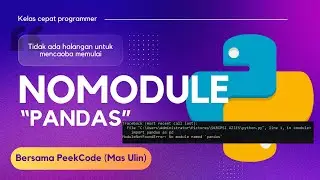 ModuleNotFoundError: No module named 'pandas' Python