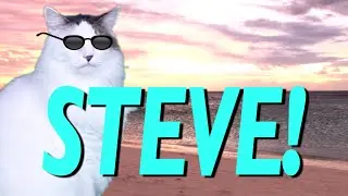 HAPPY BIRTHDAY STEVE! - EPIC CAT Happy Birthday Song