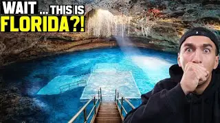 This Is FLORIDA?! New Zealander Can't Believe it!