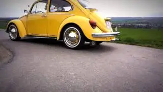 1984 Sunny Bug