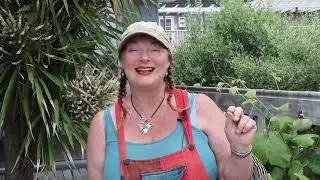Gift the Garden  - South African Prairie meets Permaculture Paradise. Nurture with Nature