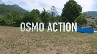 Wizard X220HV with osmo action