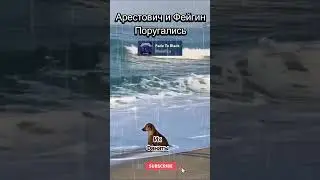 Арестович и Фейгин поругались #shorts #short #youtubeshorts #shortvideo #арестович #фейгин  #приколы