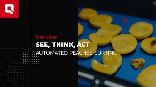 AI-driven food automation - automated sorting of peaches