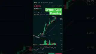 PNUT coin bullish indicator signals ⤴️ #pnut #crypto #youtube #youtubeshorts